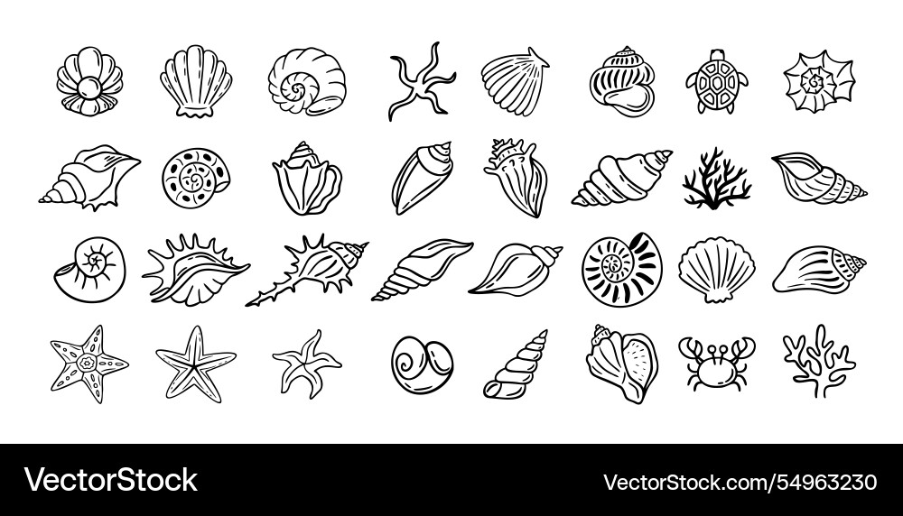 Shells doodle hand drawn style set outline Shells doodle hand drawn style set outline vector image