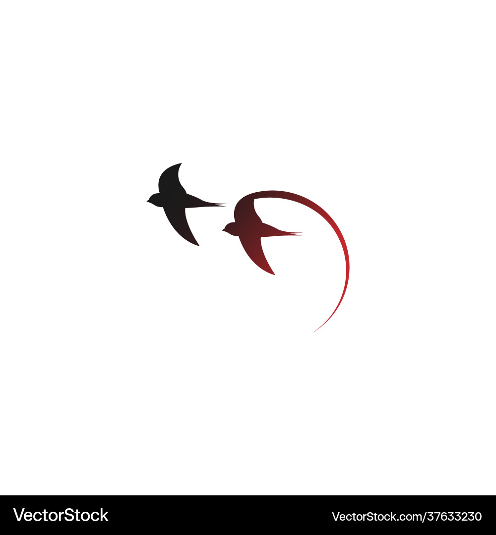 Simple design swift bird logo icon template Vector Image