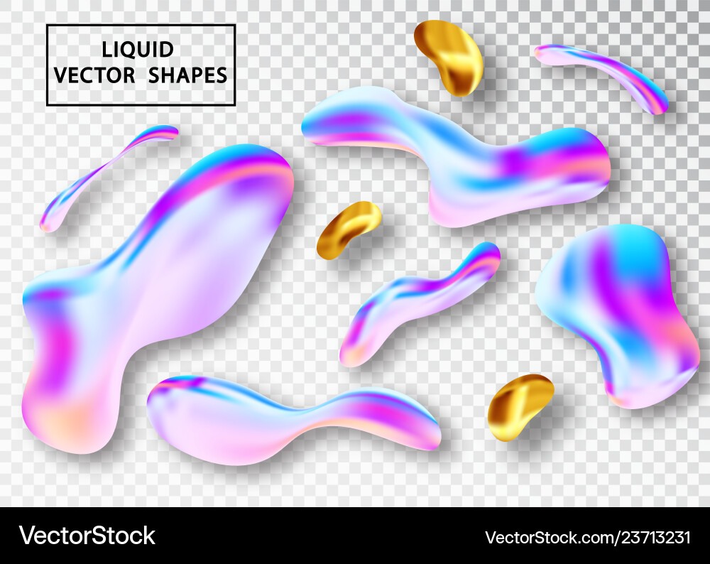 Fluid shape layout isolated template set colorful Fluid shape layout isolated template set colorful vector image
