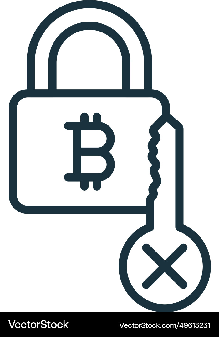 Private key cryptography icon monochrome simple Vector Image