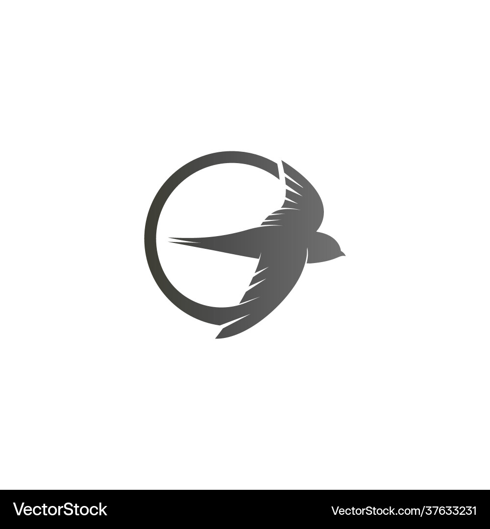 Simple design swift bird logo icon template vector image