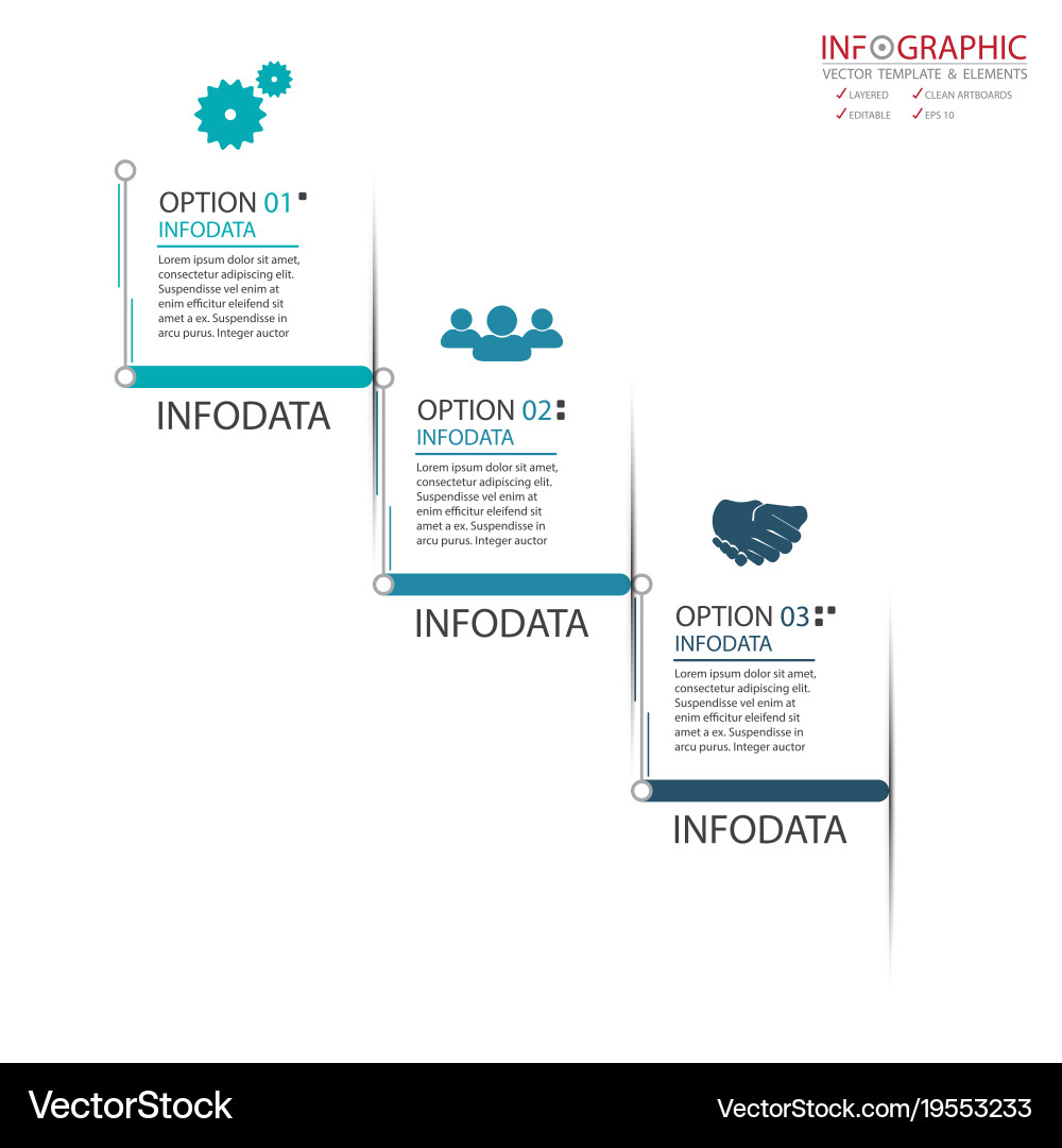 Abstract element infographics 3 option design vector image