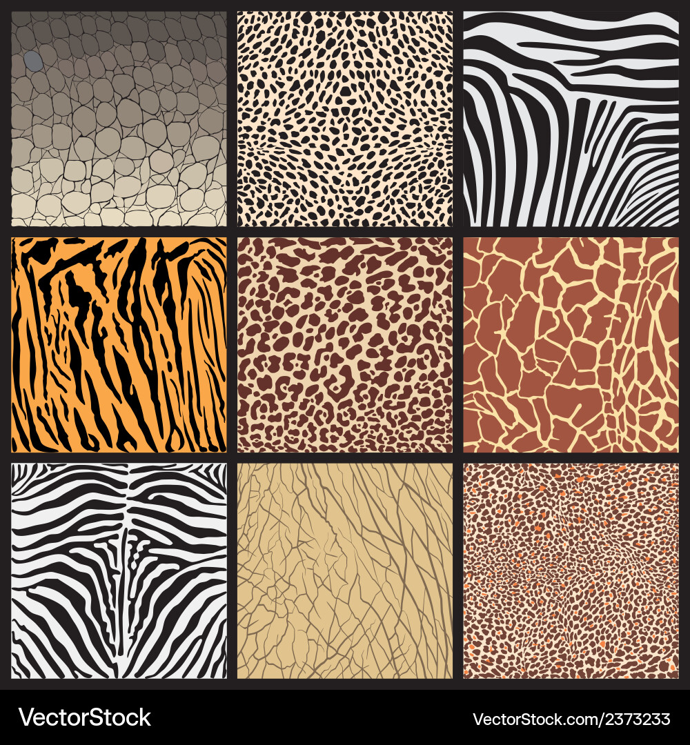 camouflage-of-african-animals-royalty-free-vector-image