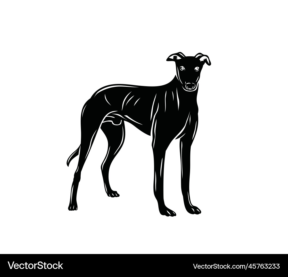 Hund Silhouette Hund Silhouette vektorbild