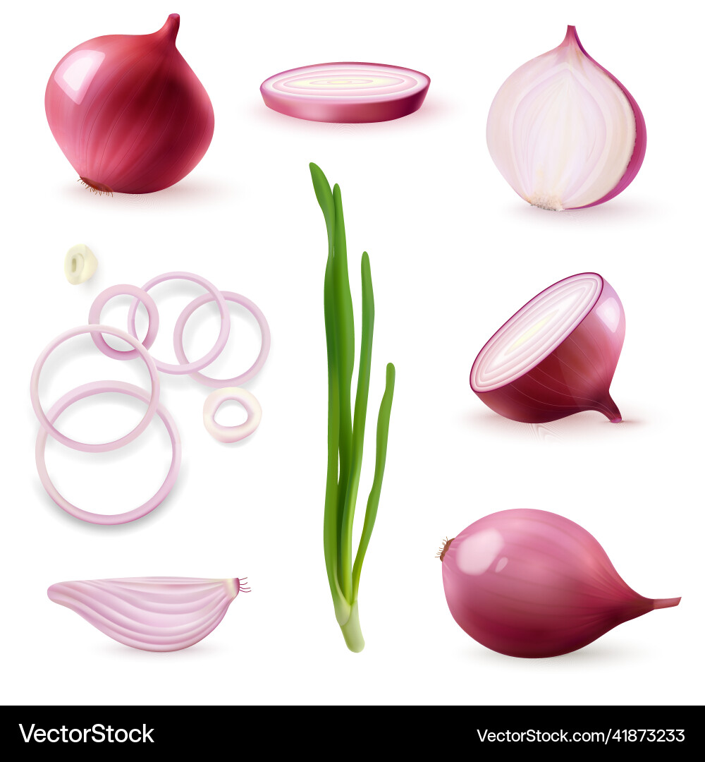 Red onion realistic set Royalty Free Vector Image