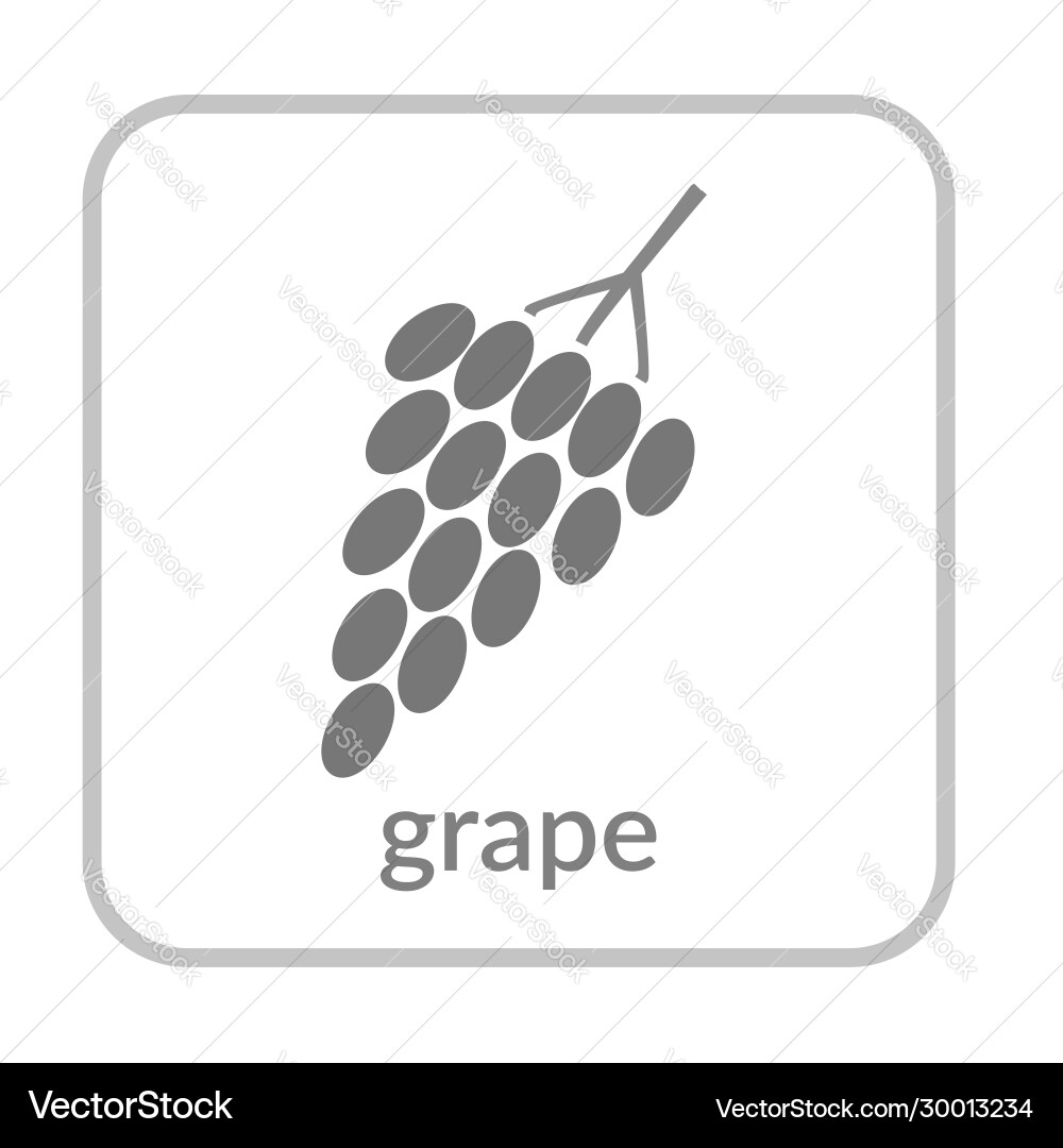 Grape bunch icon gray berry outline flat sign Grape bunch icon gray berry outline flat sign vector image