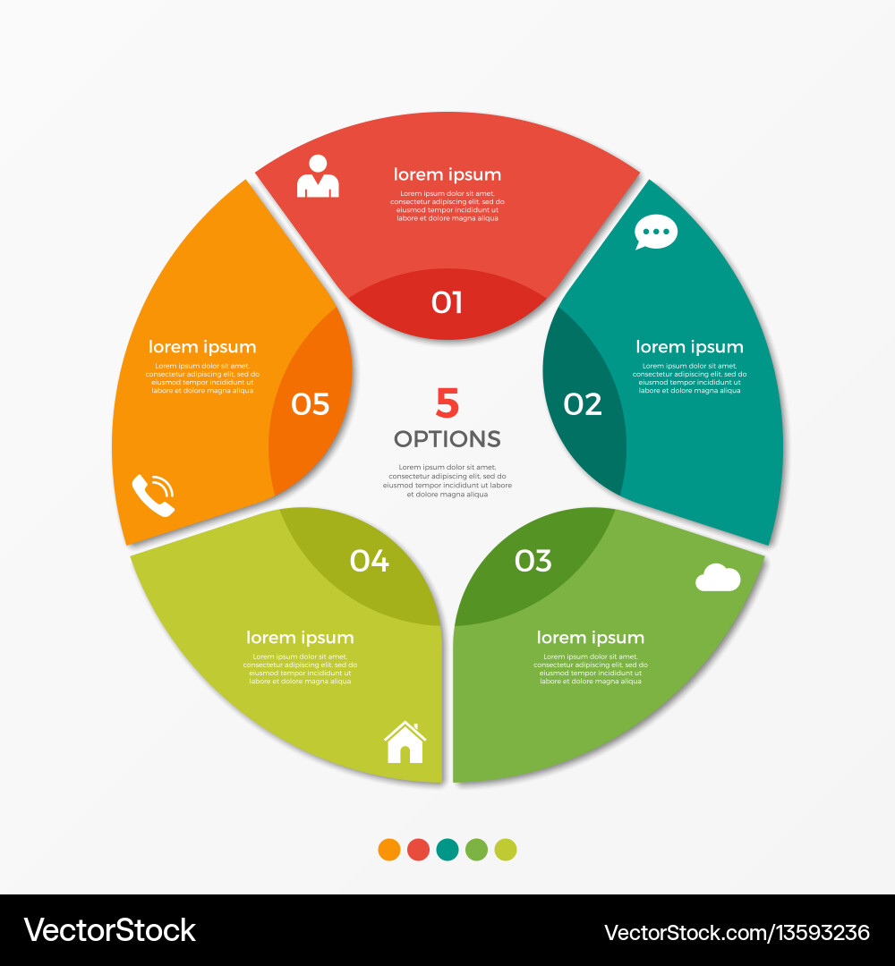 Circle Chart Infographic Template Vector Image
