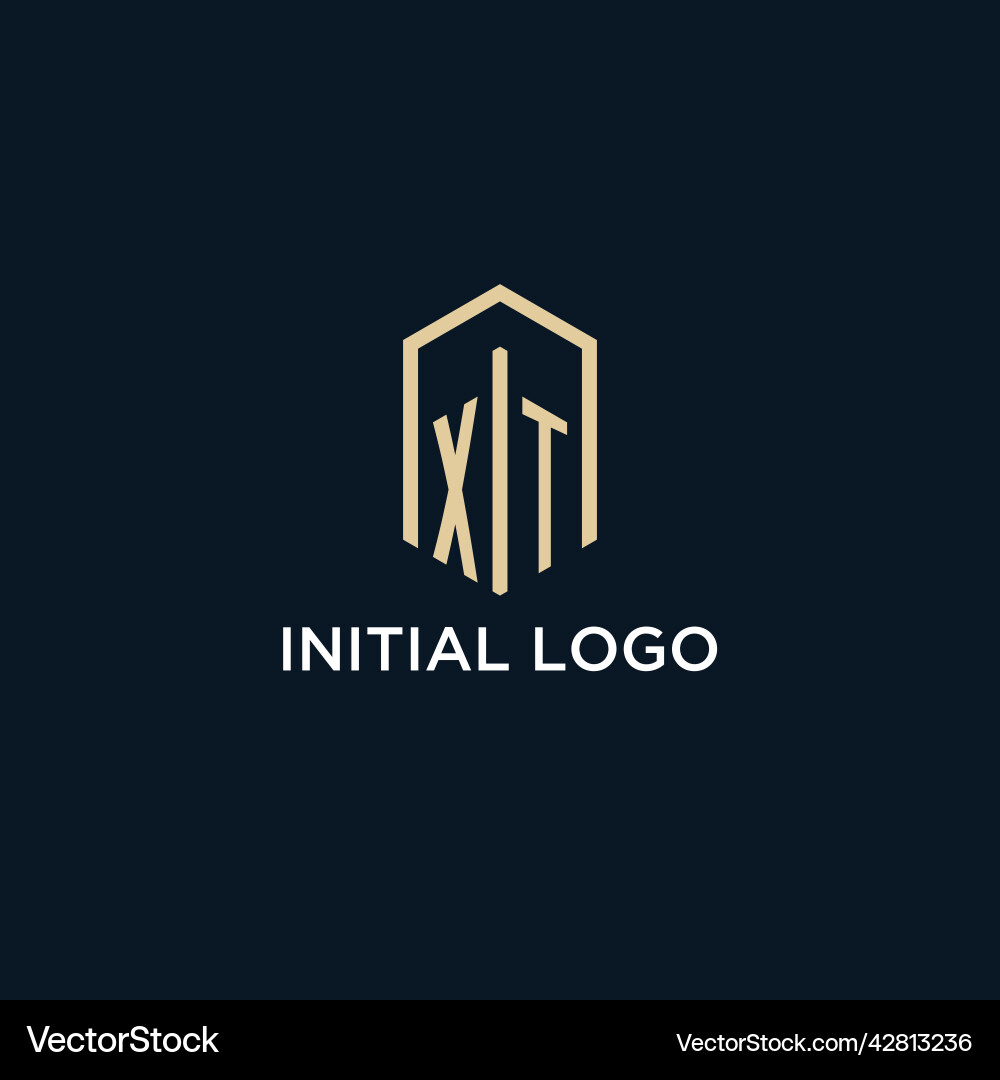 Xt initial monogram logo with hexagonal shape Vector Image