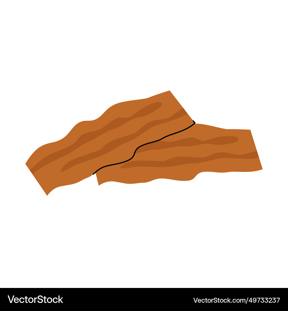 Bacon slices Bacon slices vector image