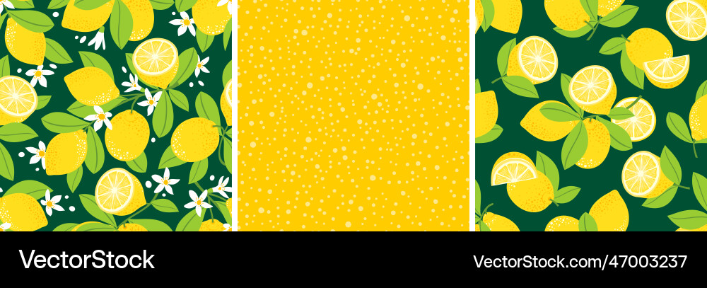 Lemon pattern set Lemon pattern set vector image