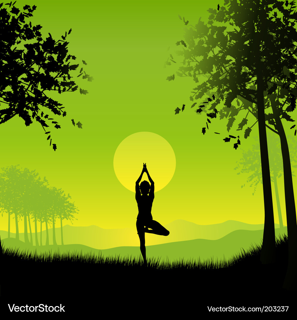 Woman in Yoga Pose Outdoors Vector Image