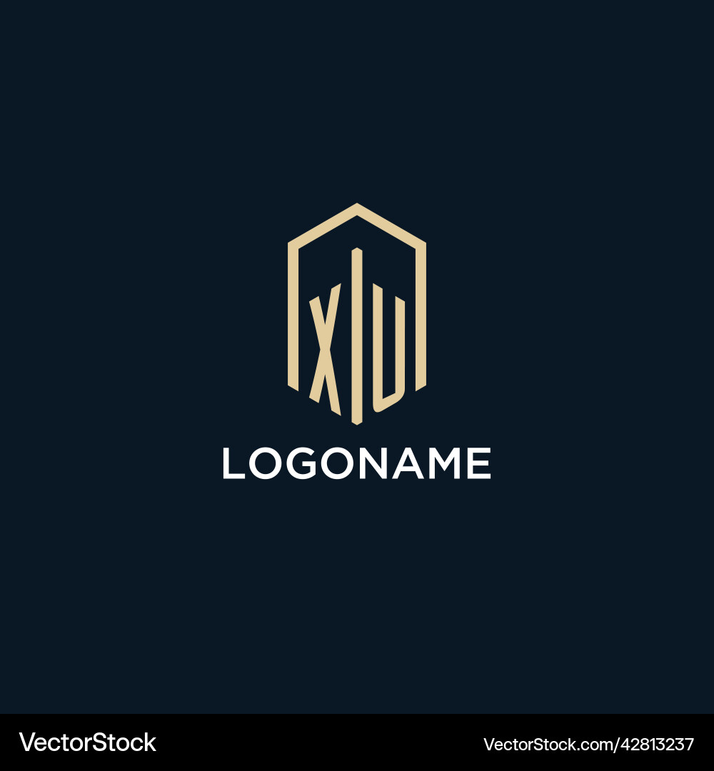 Xu initial monogram logo with hexagonal shape vector image