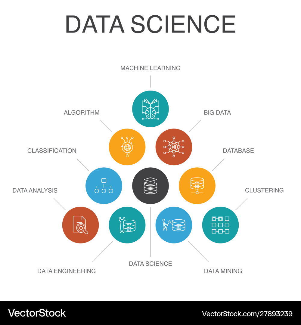 Data Science Workflow Infographic Vector Image