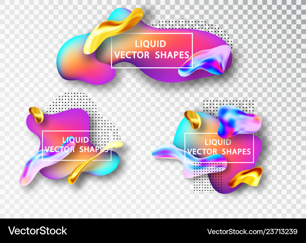 Fluid Abstract Shape Layout vector image