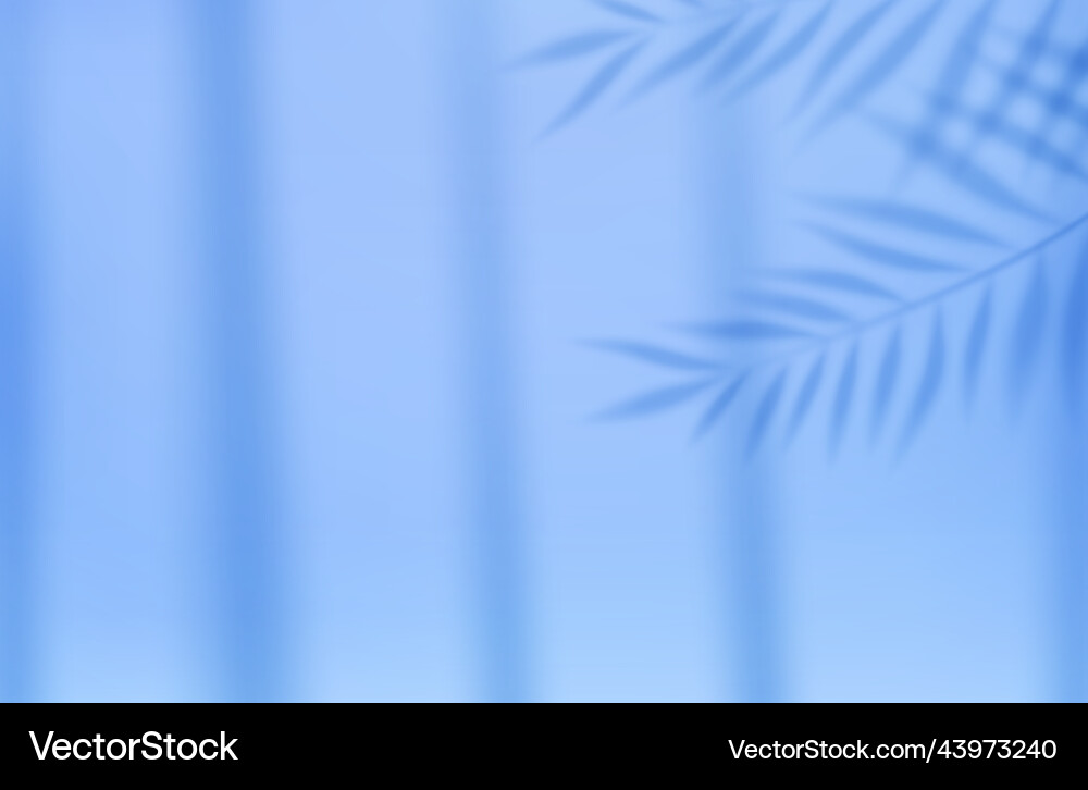 Empty studio abstract background Empty studio abstract background vector image