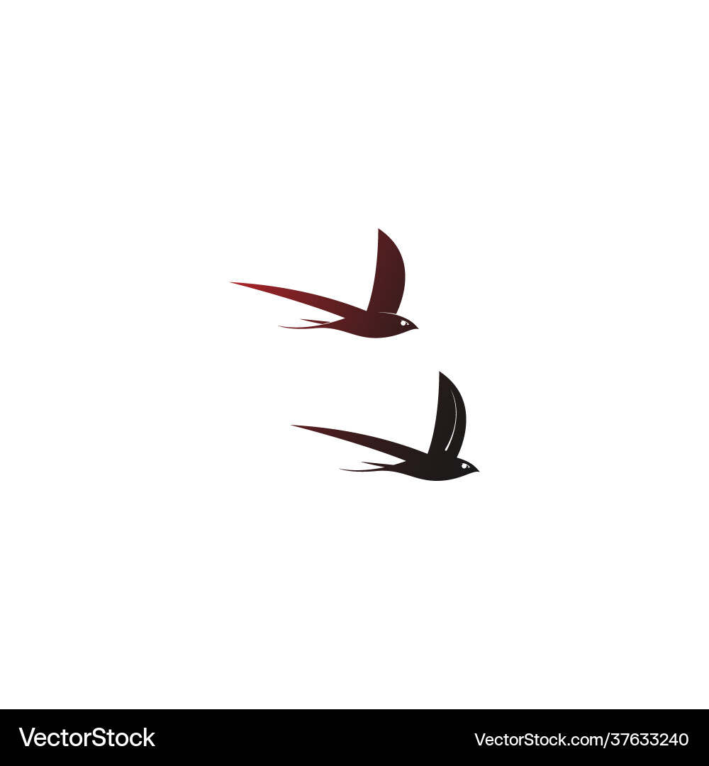 Simple design swift bird logo icon template vector image