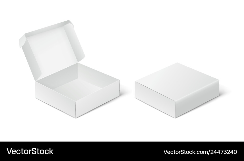 Two Empty Packing Boxes - Closed & Open vector image