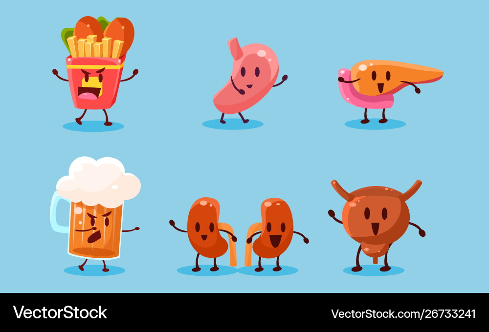 Bad habits set destruction human organs Bad habits set destruction human organs vector image