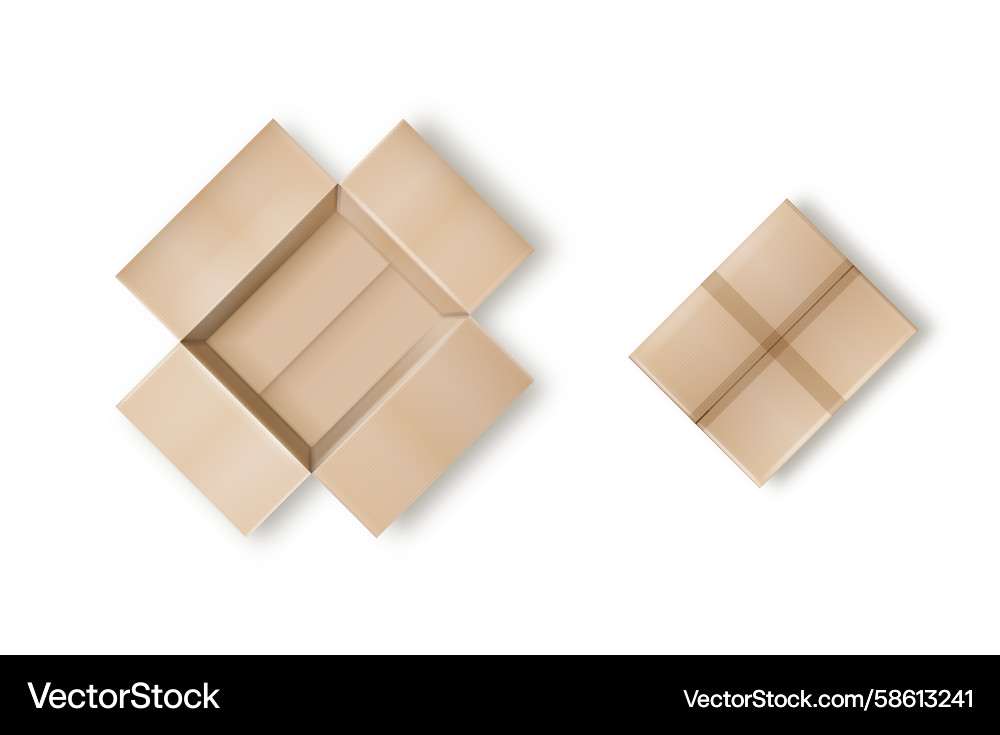 Box empty open and closed cardboard Vector Image