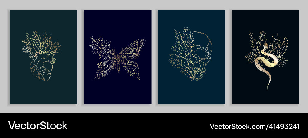 Half shape butterfly snake and skull with branch Half shape butterfly snake and skull with branch vector image