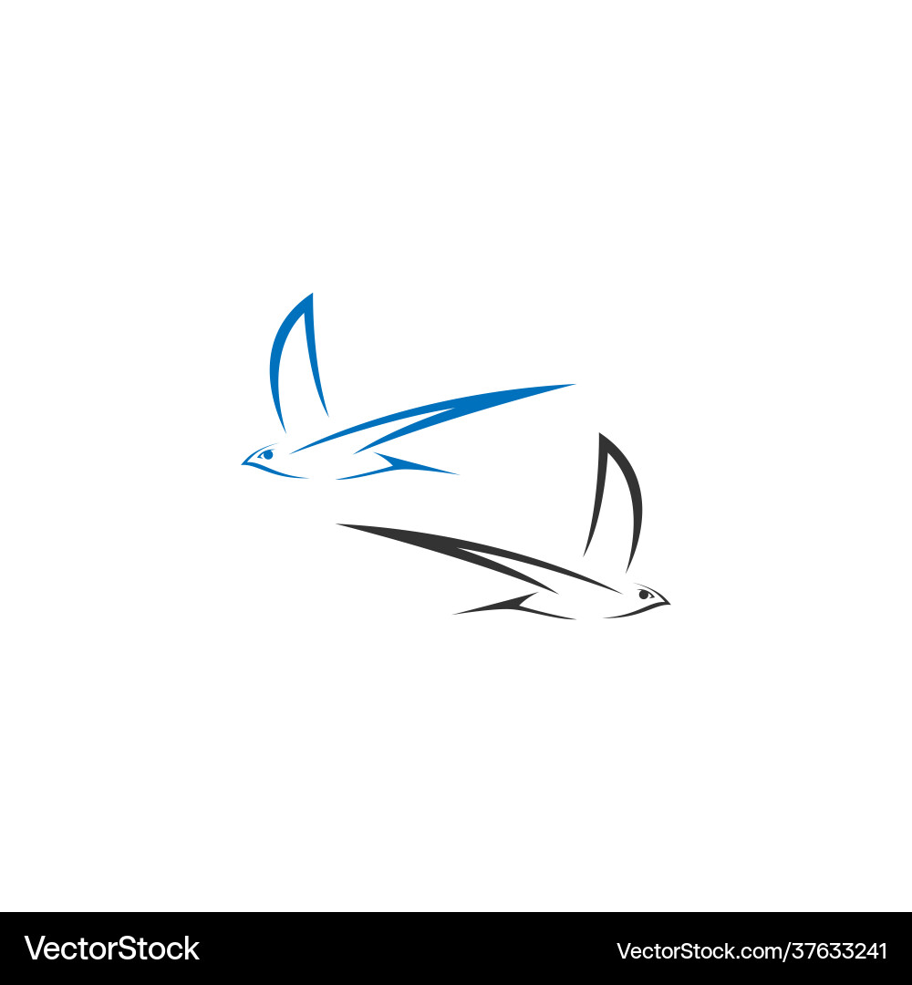 Simple design swift bird logo icon template vector image
