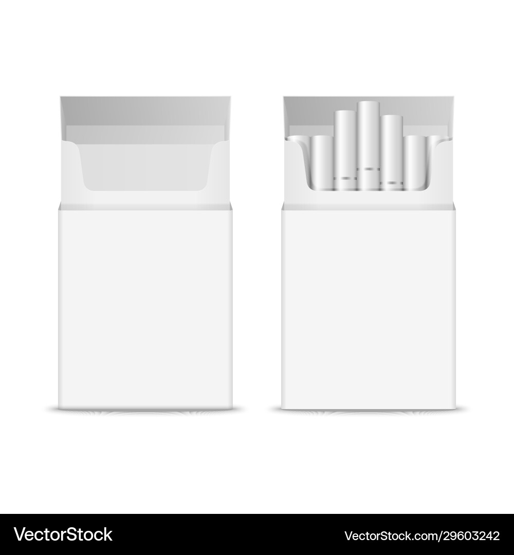 3d realistic opened clear blank empty 3d realistic opened clear blank empty vector image