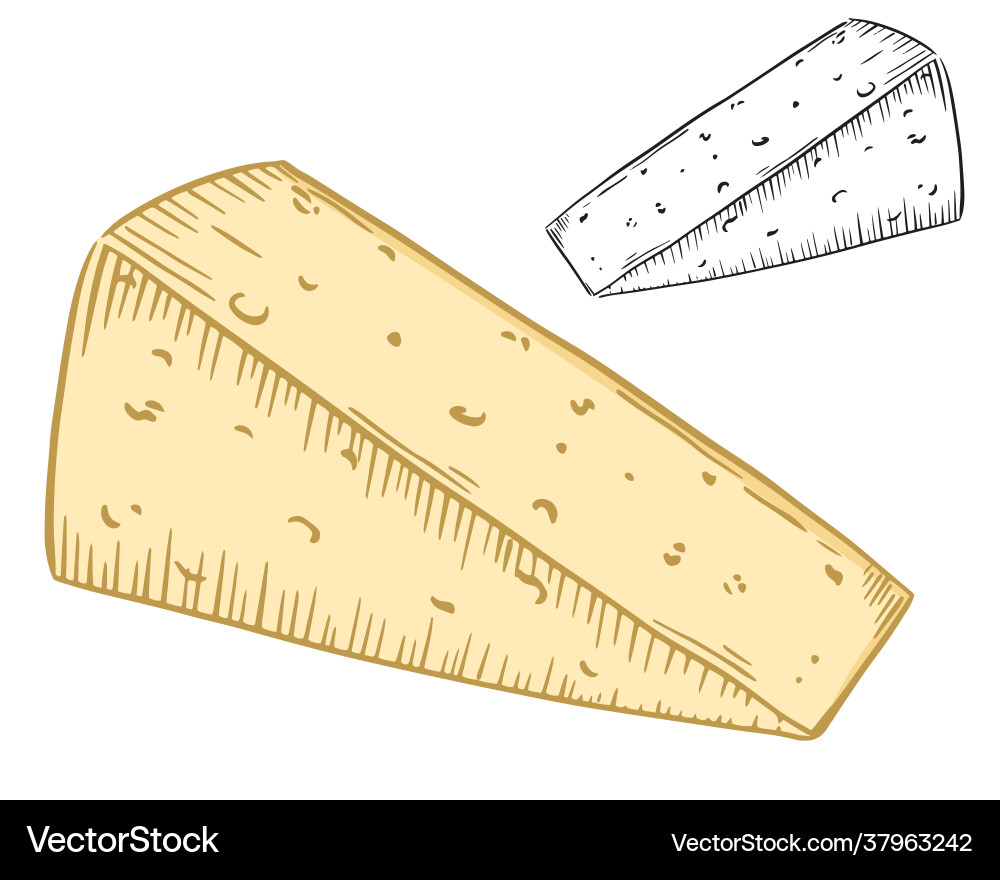 Piece cheese triangular shape part Piece cheese triangular shape part Vector Image