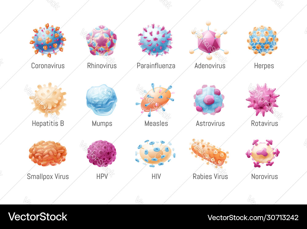 Set common viruses models pathogens Set common viruses models pathogens vector image