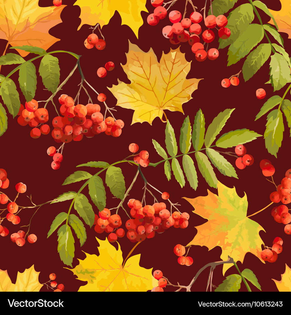 Autumn leaves background - seamless pattern vector image