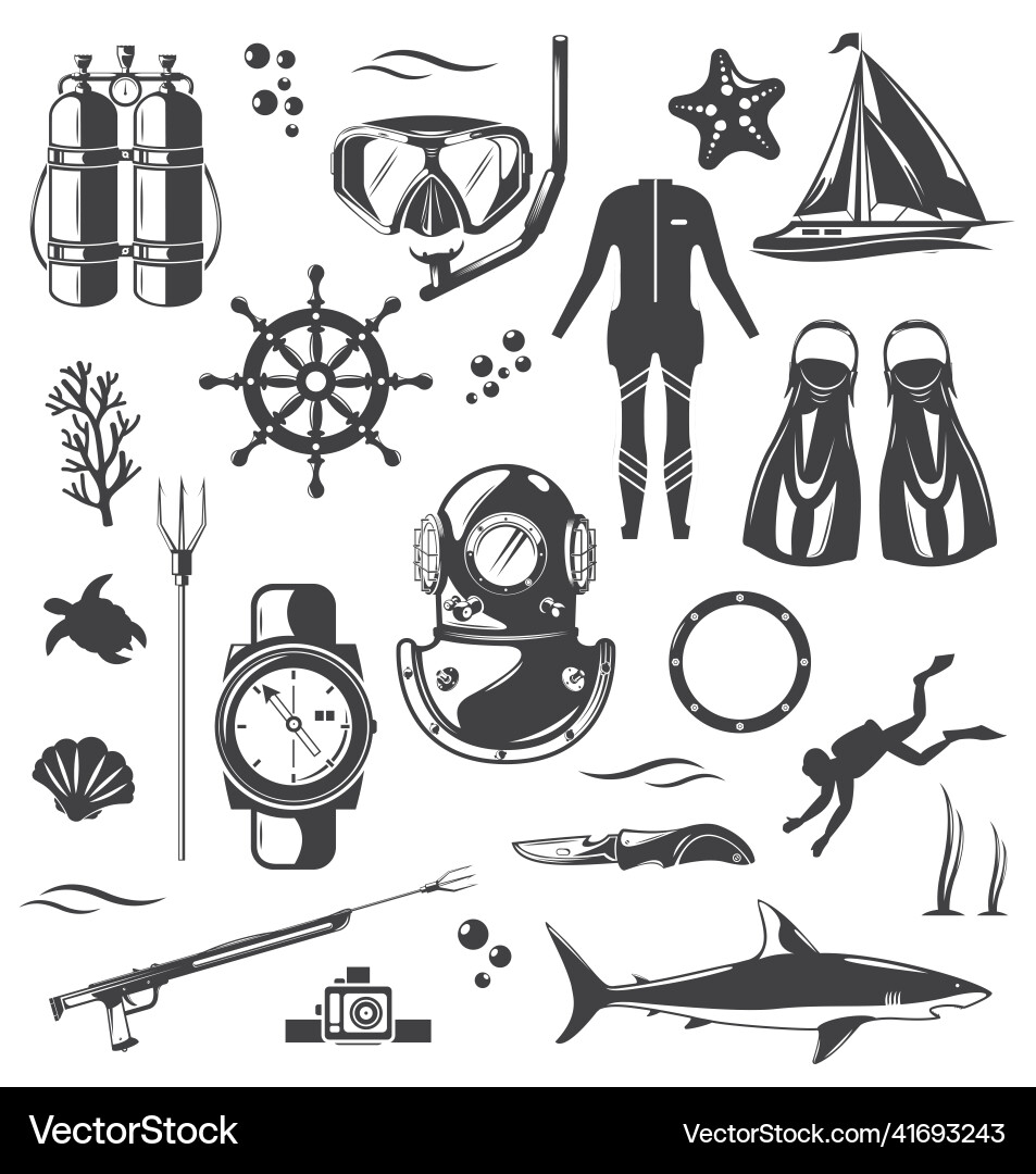 Scuba Diving Equipment Set Vector Image