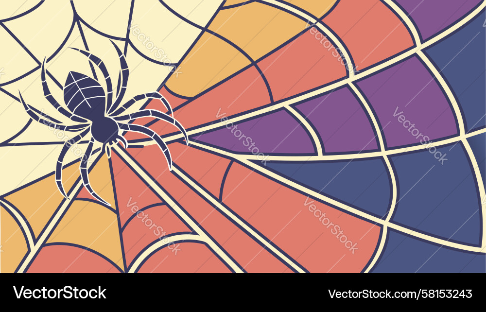 Spooky Spider Web Pattern Vector Image