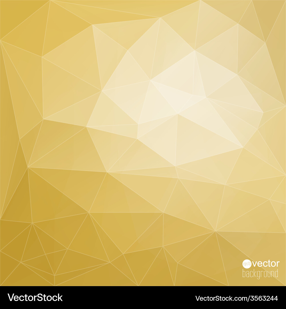 Abstract background with triangles and polygon vector image