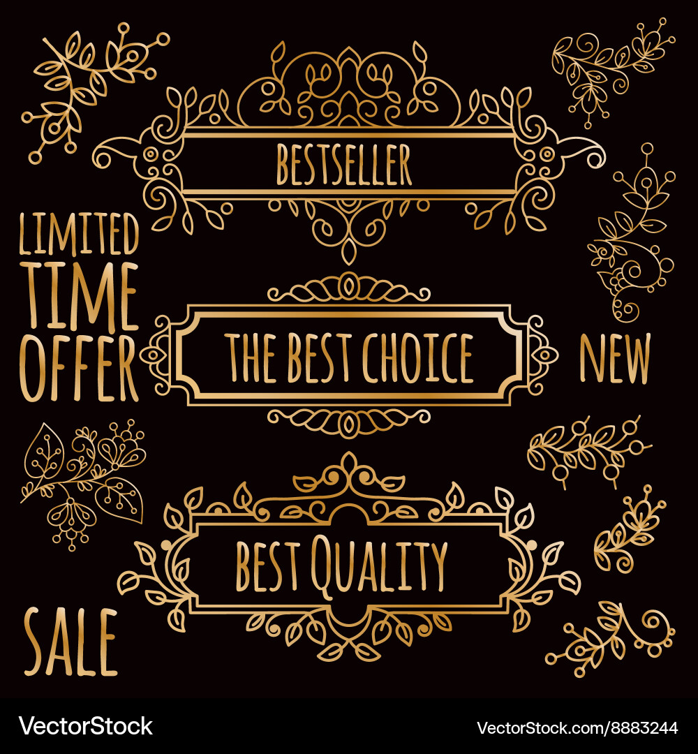 Frame design element and page decoration vector image