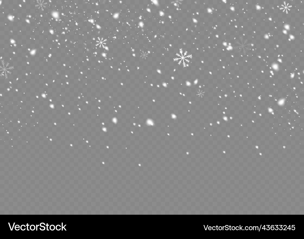 Falling a snow flakes blizzard snowflake Vektorbild