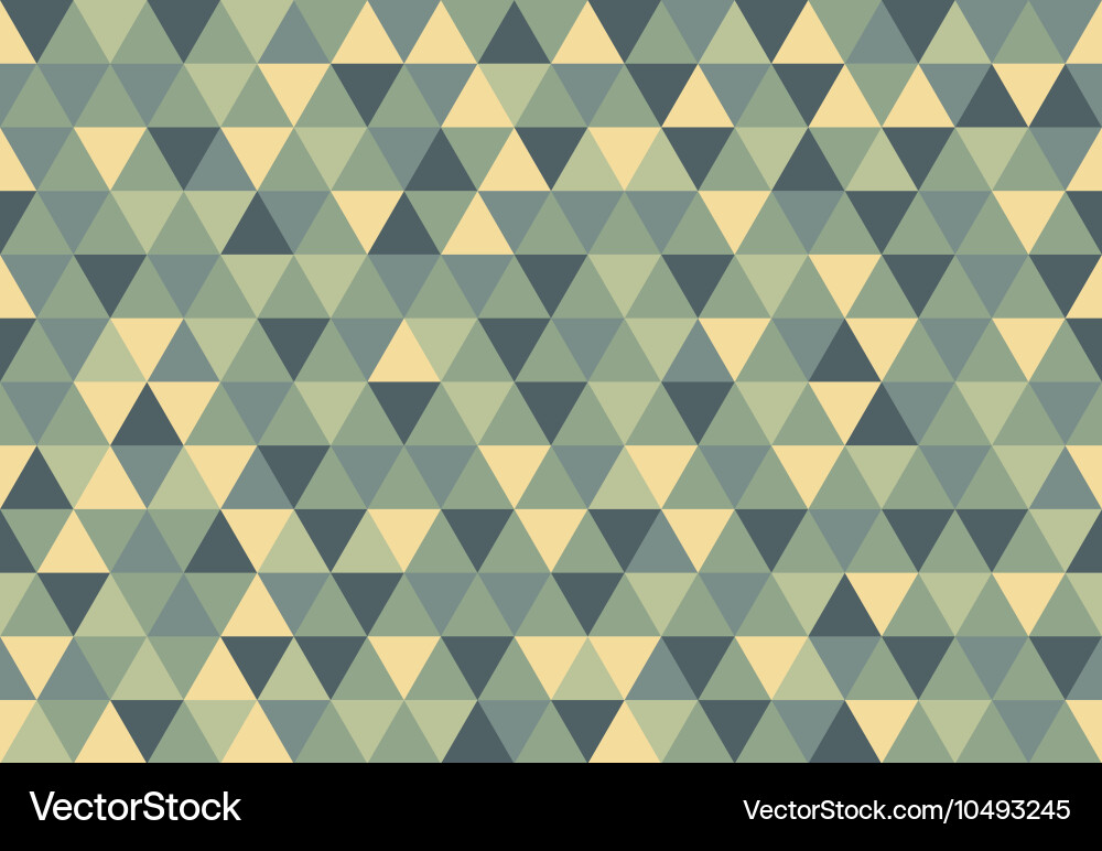 Geometric Triangle Pattern vector image