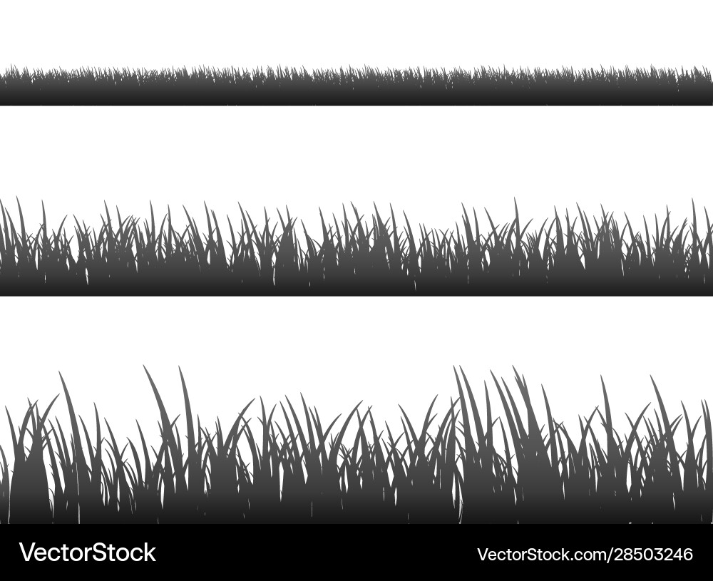 Grass Meadow Border Pattern Vector Image