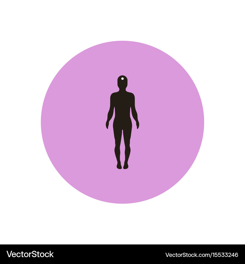 Stylish icon in color circle body stroke Vector Image