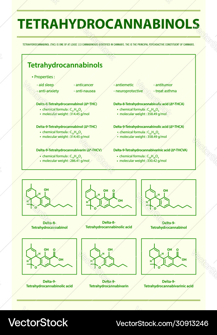 Tetrahydrocannabinol thc with structural formulas Tetrahydrocannabinol thc with structural formulas vector image