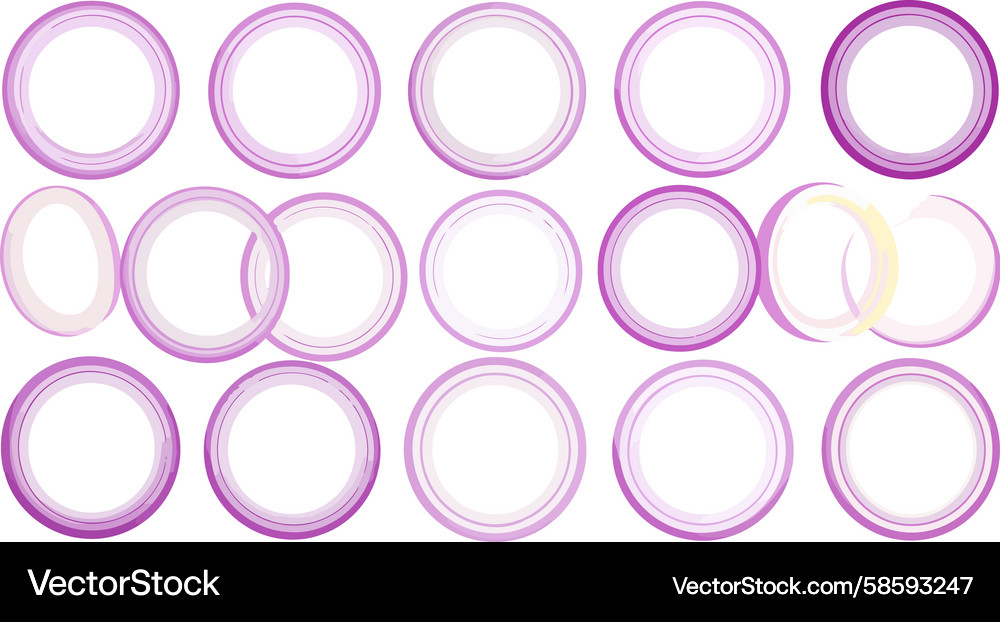 A graphic array of translucent red onion slices A graphic array of translucent red onion slices Vector Image