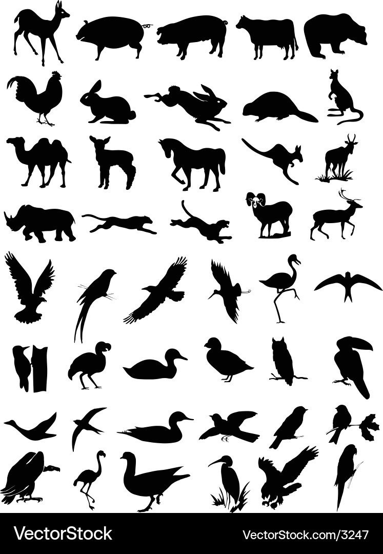 Animal Silhouettes Collection vector image