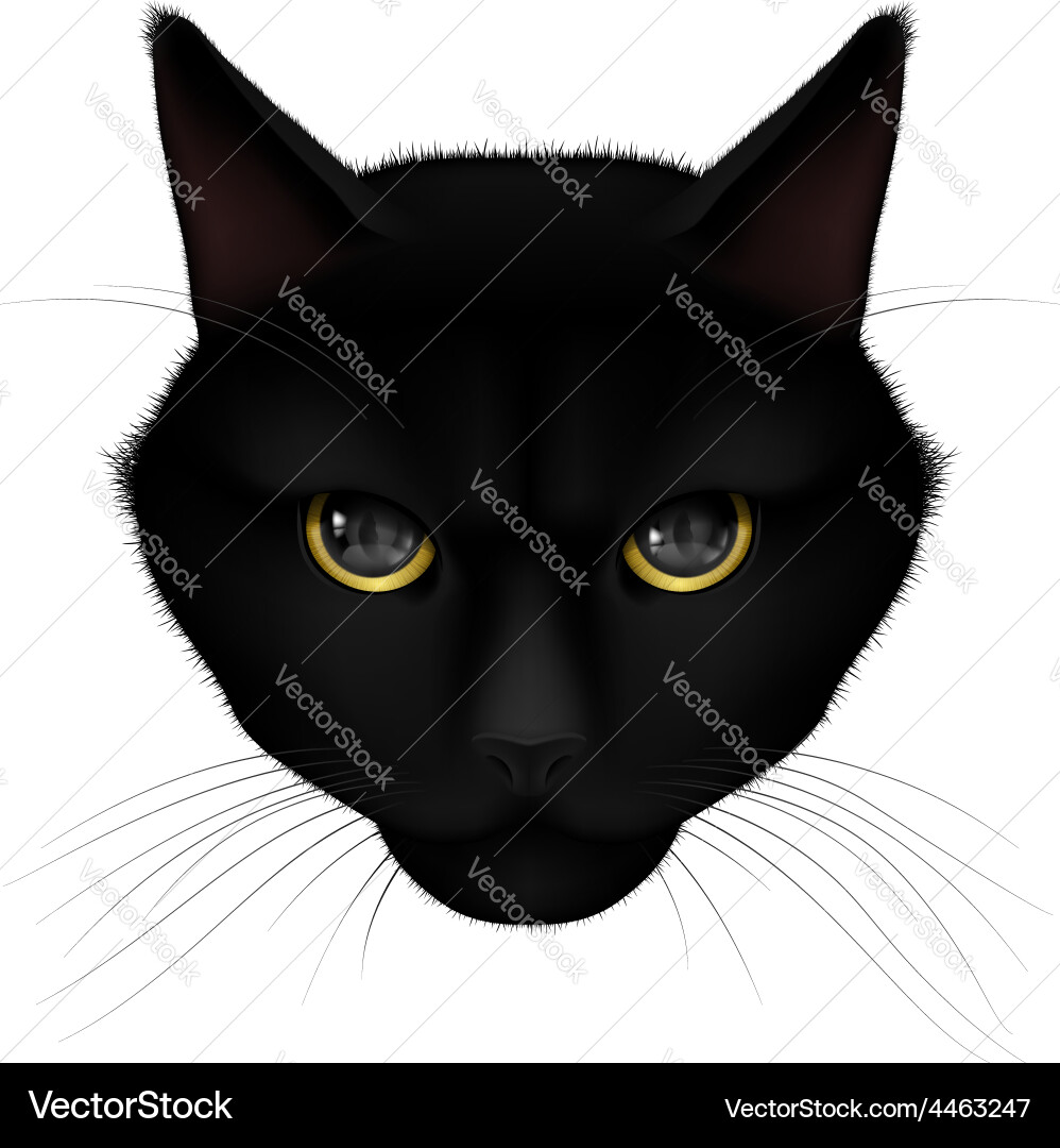 Black Cat Head Vector Image