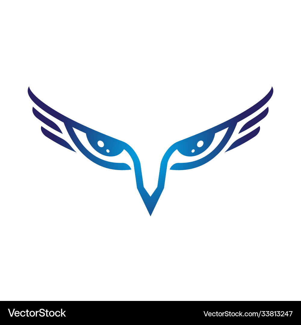 Eagle eye symbol Royalty Free Vector Image - VectorStock