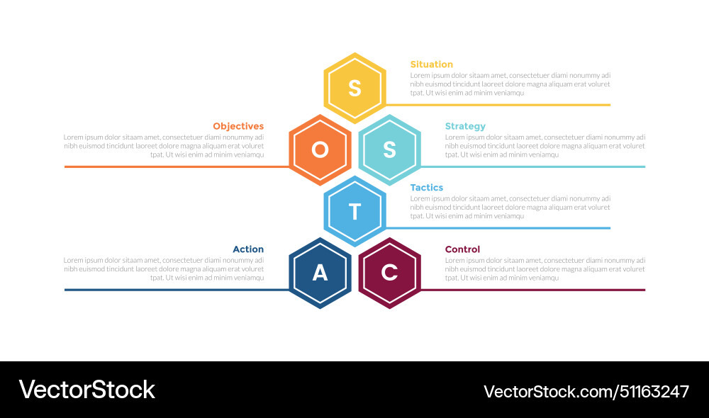 Sostac marketing planning infographics template Sostac marketing planning infographics template vector image