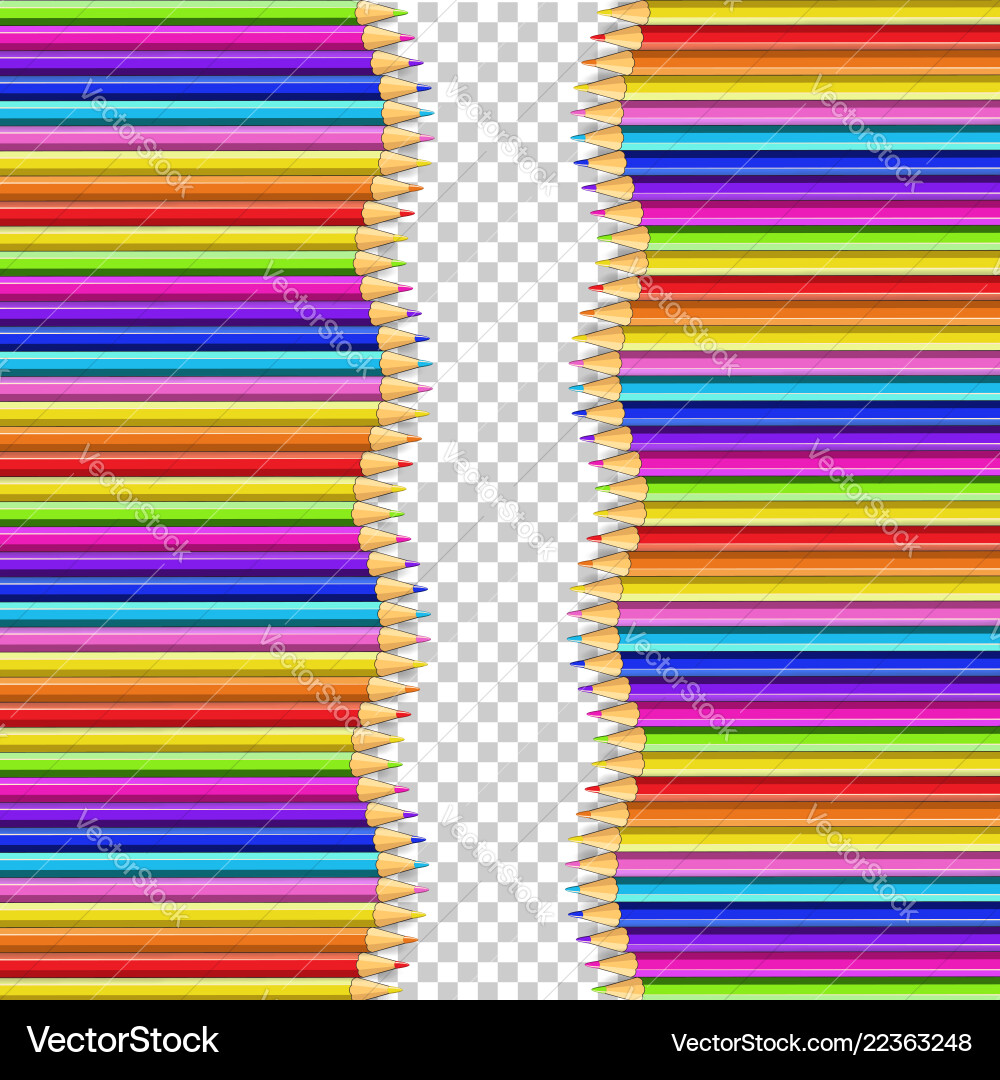 Double border made of vertical rows colored vector image
