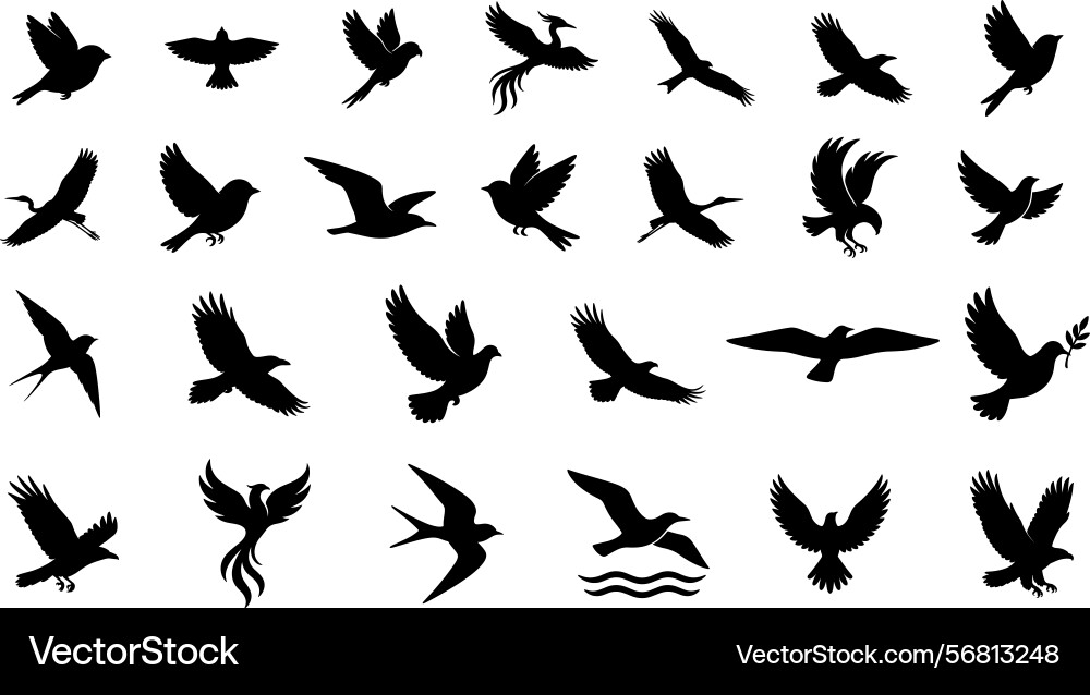 Flying bird silhouette set Vector Image