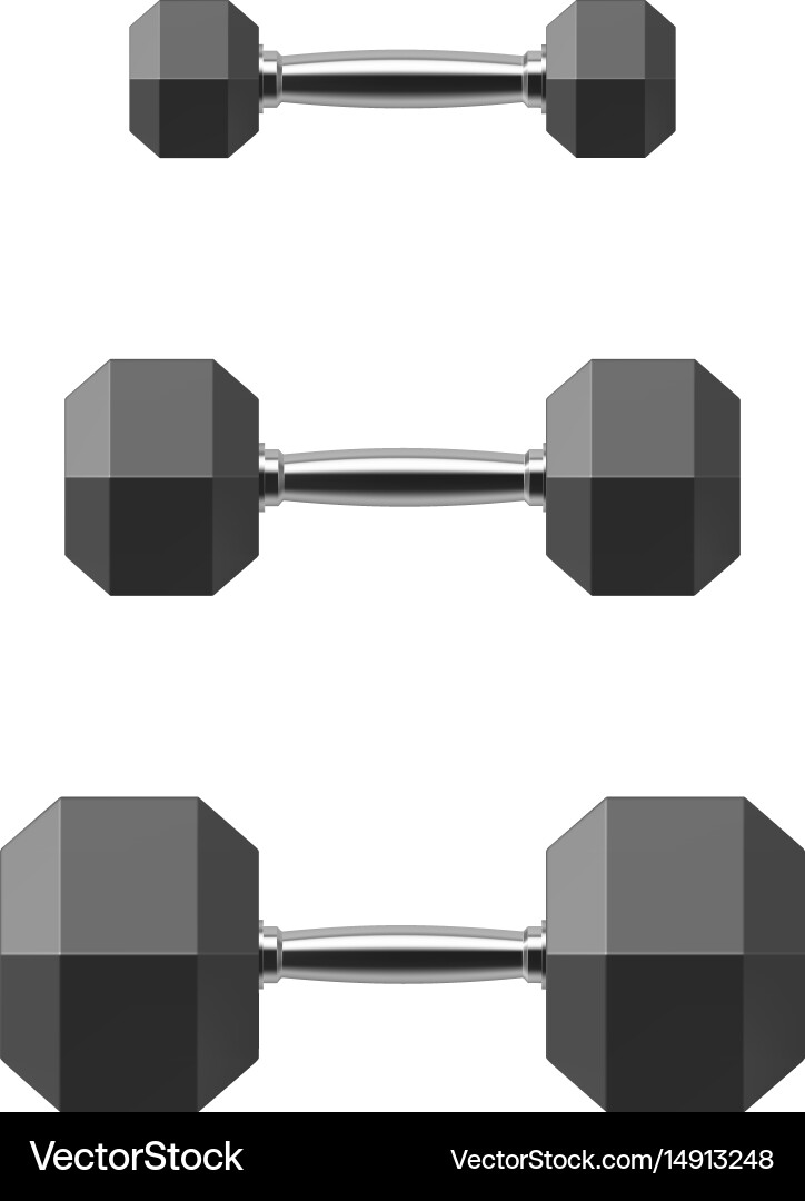 Isolated Hexagonal Dumbbell Set vector image