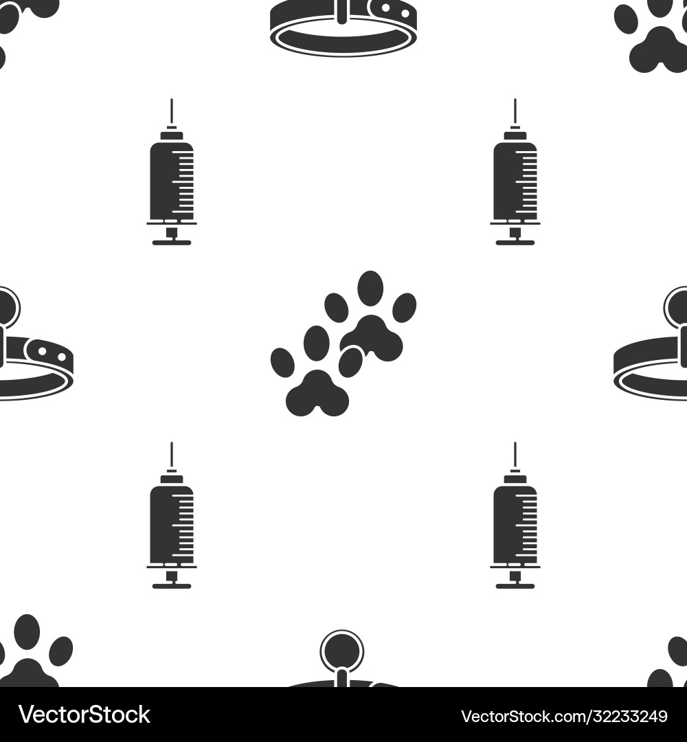 Set collar with name tag paw print and syringe Set collar with name tag paw print and syringe vector image