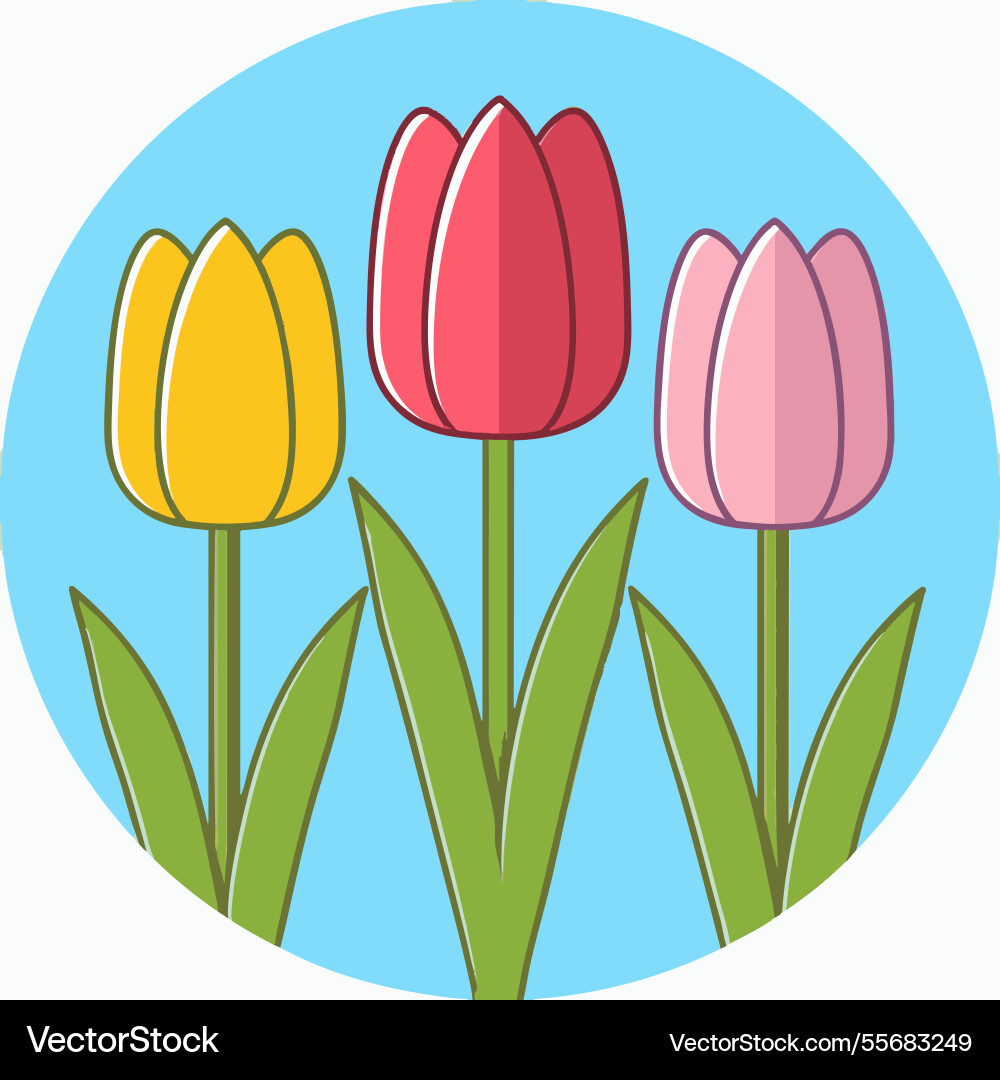 Three tulips in a row with different colors Three tulips in a row with different colors Vector Image