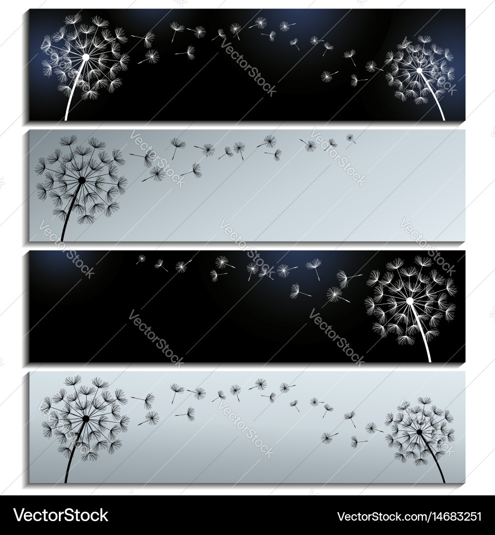Elegant Black and Grey Dandelion Banner Vector Image