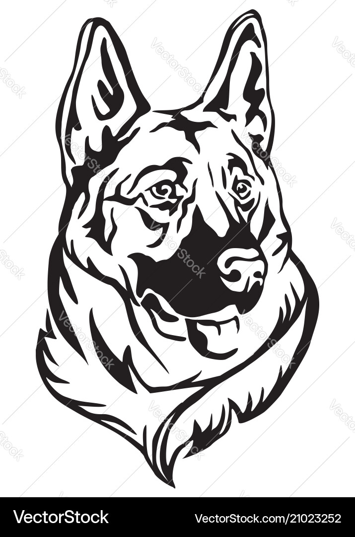German Shepherd Portrait Vector Image